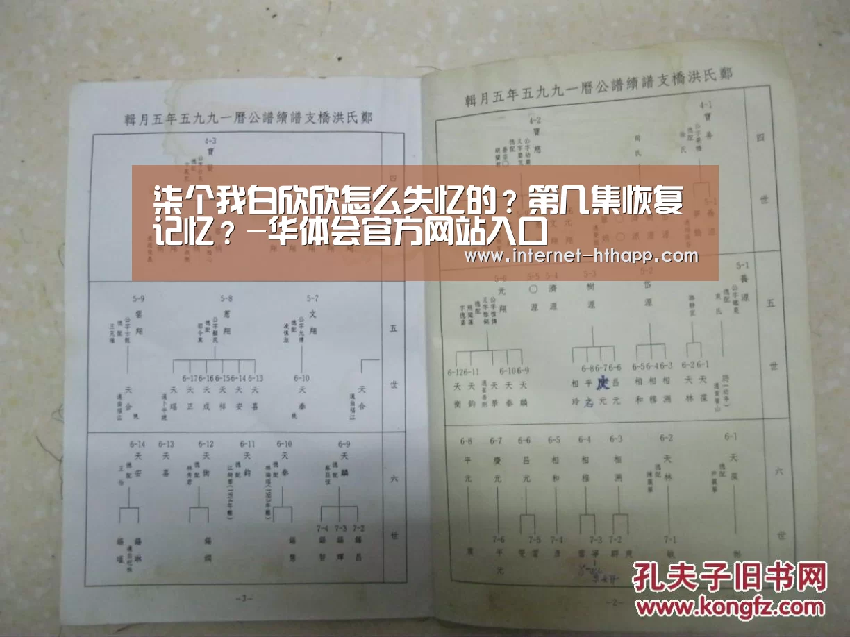 华体会官网下载