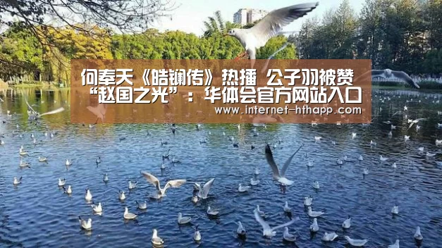 华体会体育app下载